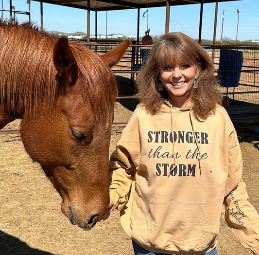 Stronger Than The Storm Sweatshirt – Comfortable, Durable, Made in USA - Olive Branch Film Studios, Florida